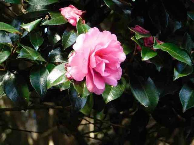 DSCN0551.jpg