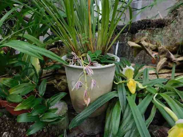 DSCN0841.jpg