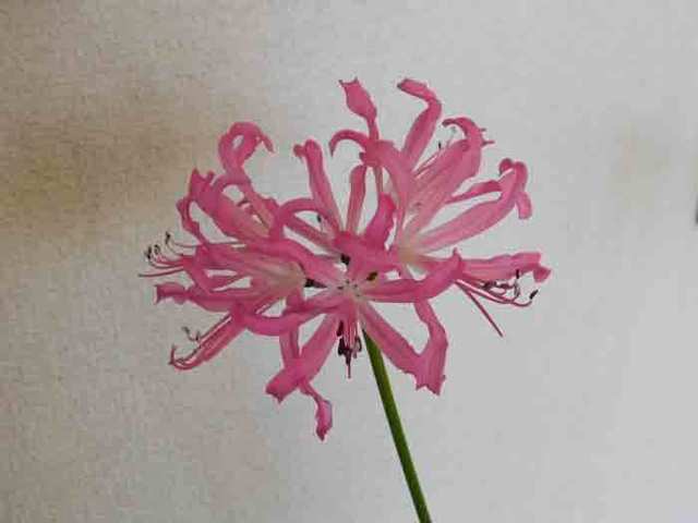 DSCN0899.jpg