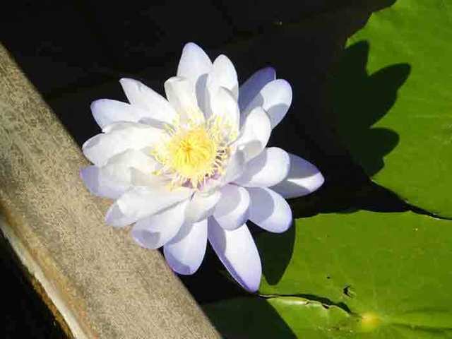 DSCN0936.jpg
