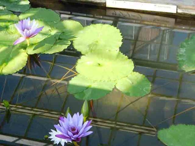 DSCN0944.jpg