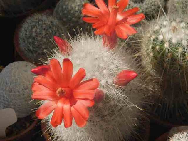 DSCN3593.jpg