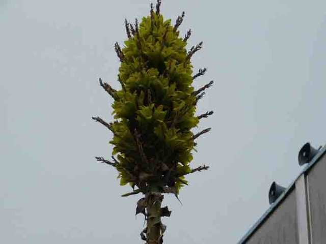 DSCN3755.jpg