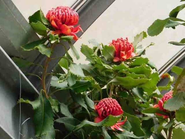 DSCN5150.jpg