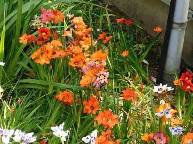 DSCN5319.jpg