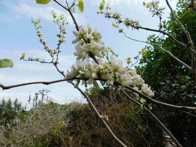 DSCN5558.jpg