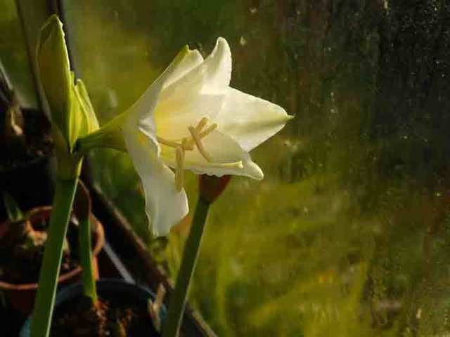 DSCN6324.jpg
