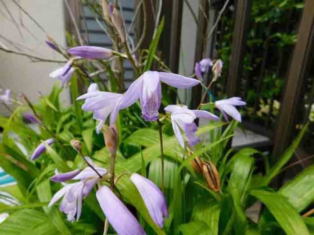DSCN6561.jpg