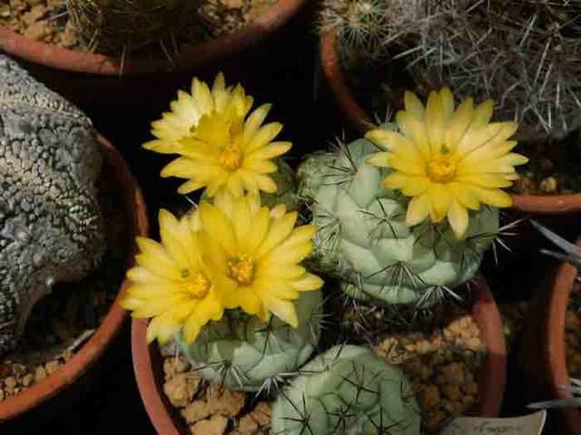 DSCN6628.jpg
