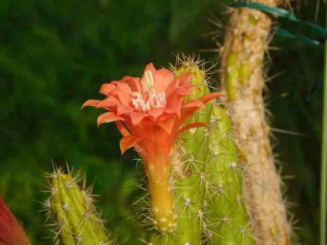 DSCN8179.jpg