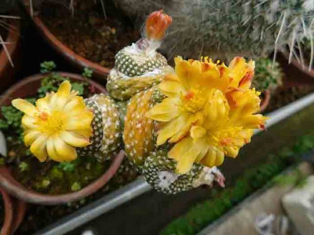 DSCN8219.jpg