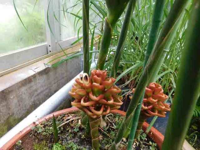 DSCN8550.jpg