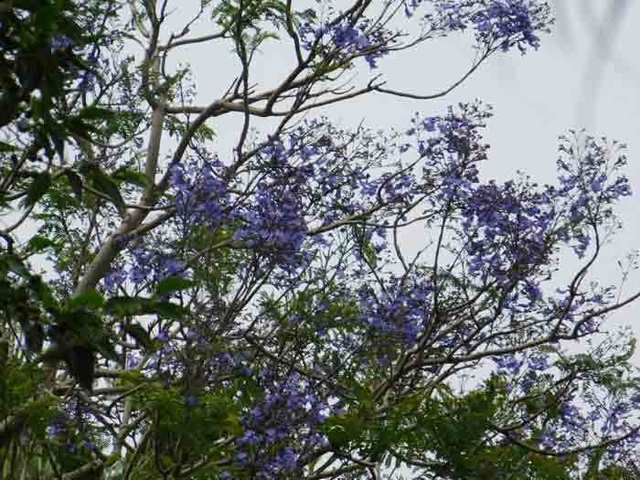 DSCN8705.jpg