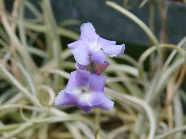 DSCN9087.jpg