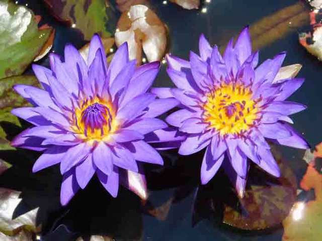DSCN9198.jpg