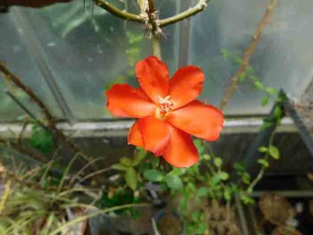 DSCN9274.jpg