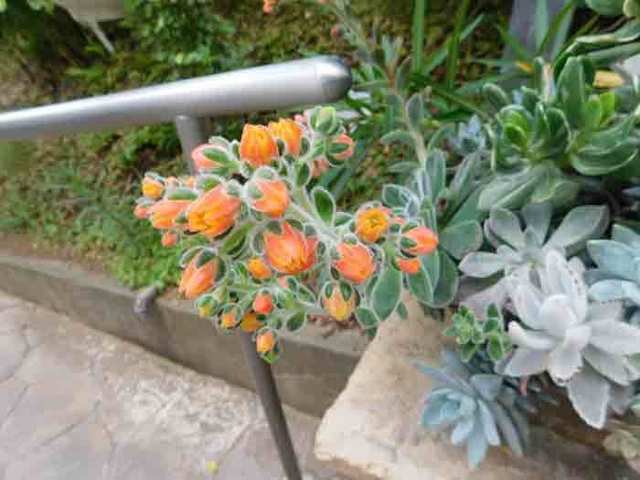 DSCN9374.jpg