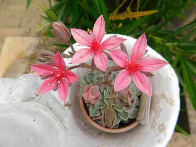 DSCN9372.jpg