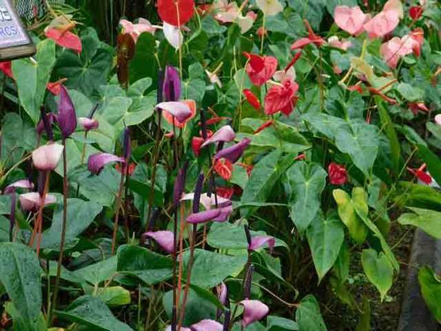 DSCN9449.jpg
