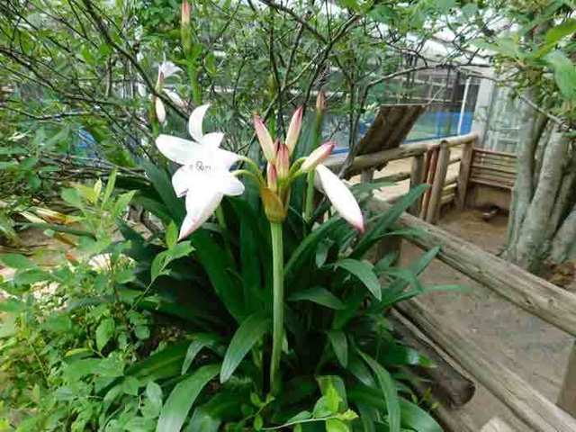 DSCN9839.jpg