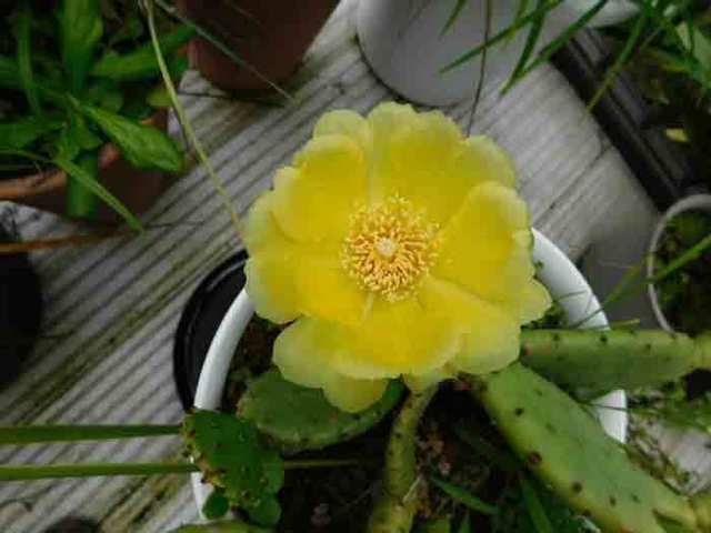 DSCN0125.jpg