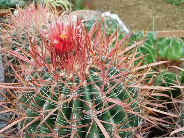 DSCN0143.jpg