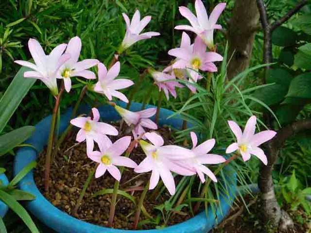 DSCN0129.jpg