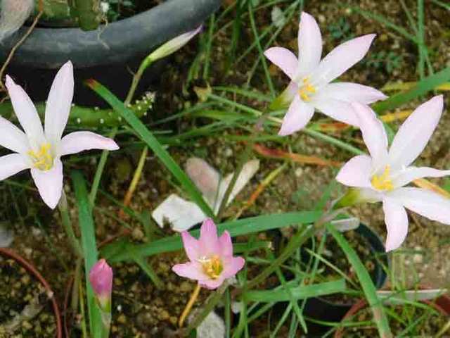 DSCN0139.jpg