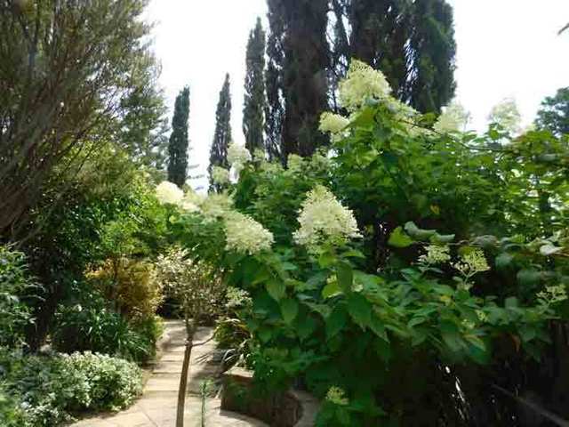 DSCN0376.jpg