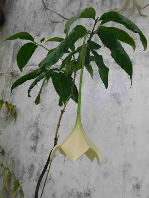 DSCN0497.jpg