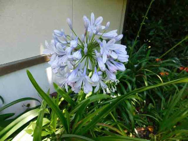 DSCN0552.jpg