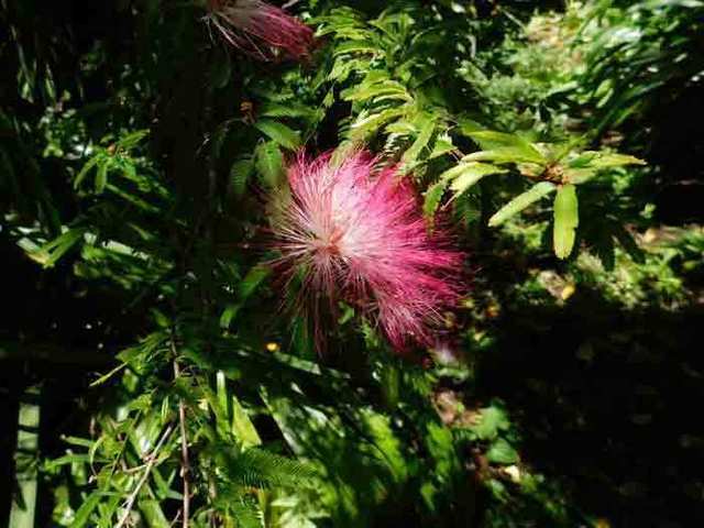 DSCN0546.jpg