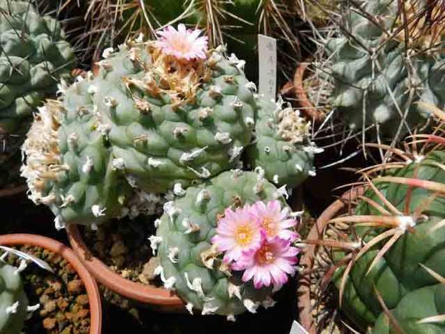 DSCN0757.jpg