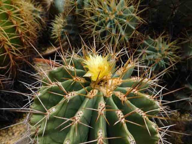 DSCN0745.jpg