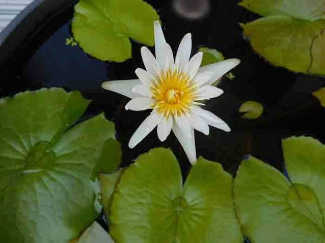 DSCN0874.jpg