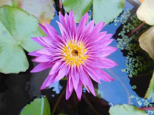 DSCN0866.jpg