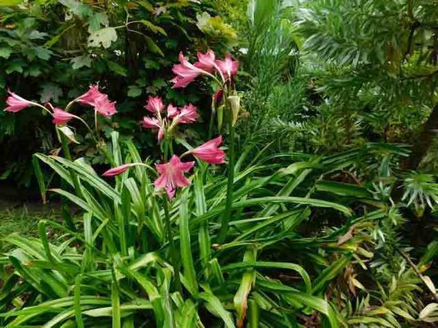 DSCN0955.jpg