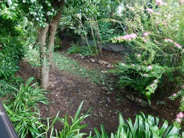 DSCN1542.jpg