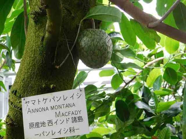 DSCN2430.jpg