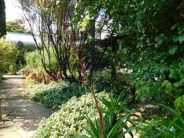 DSCN3036.jpg
