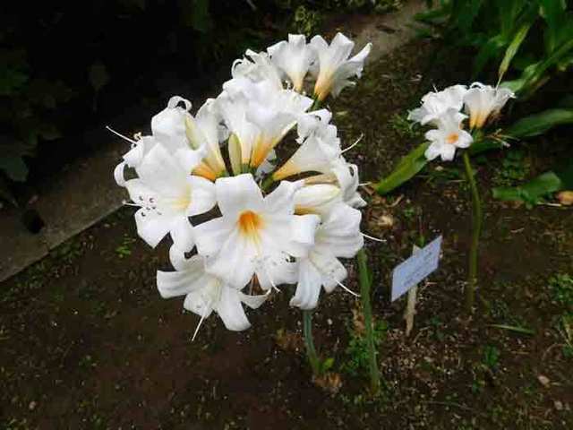 DSCN3046.jpg
