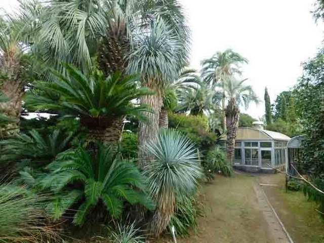 DSCN3191.jpg