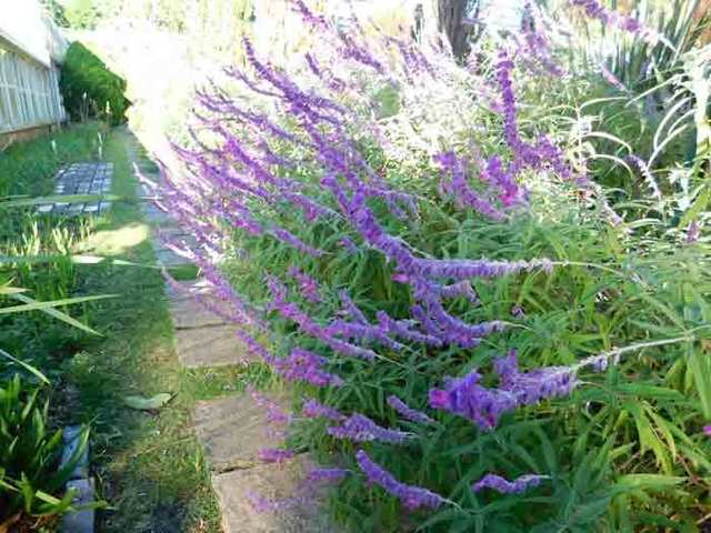 DSCN4018.jpg