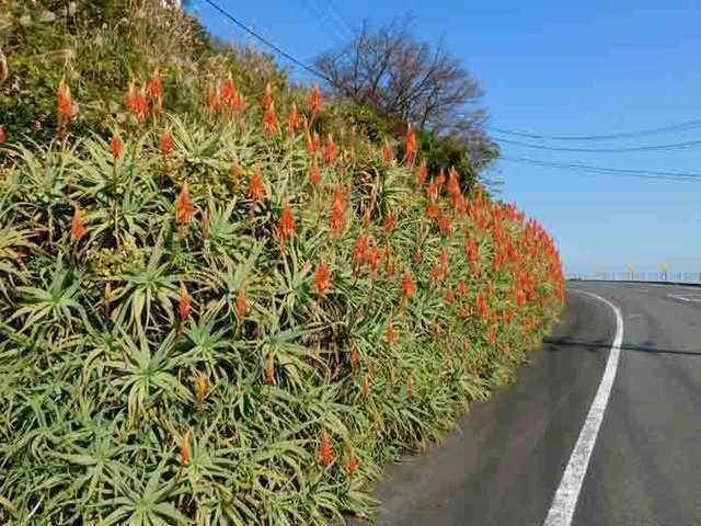 DSCN5051.jpg