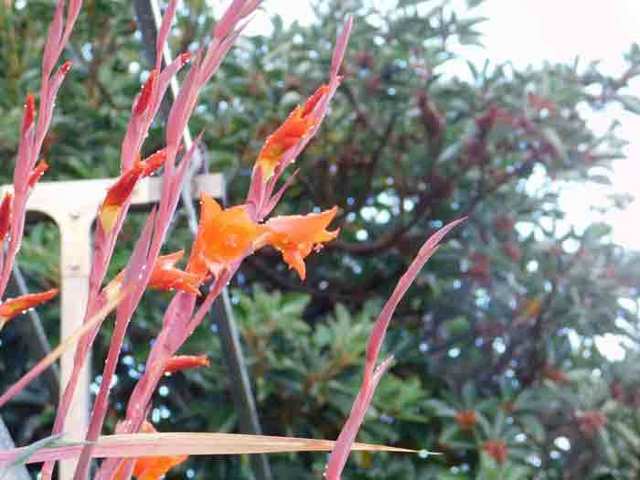 DSCN5392.jpg