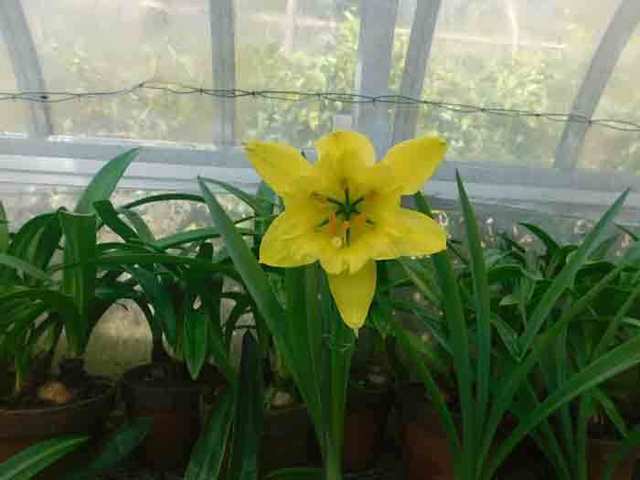 DSCN5674.jpg