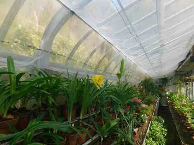 DSCN5670.jpg