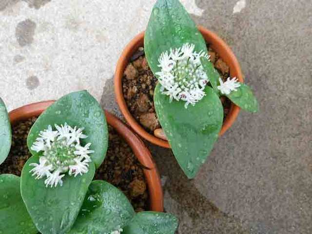 DSCN5873.jpg
