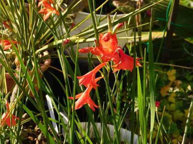 DSCN5767.jpg