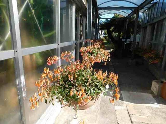 DSCN7092.jpg